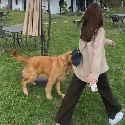 烽火恋曲
